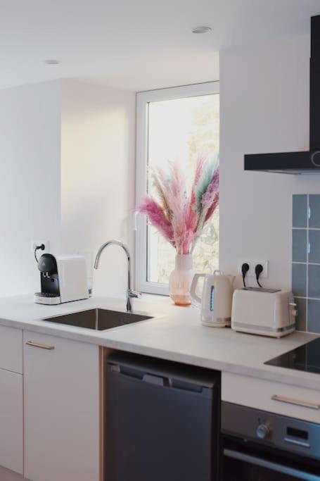 Appartement Aquaroom Rdc - Plage 50M - Rue Gratuite 圣马洛 外观 照片